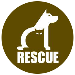 Cat Adoption Central logo. Logo design by Randy Heil